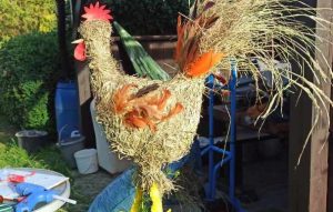 Read more about the article Kogut, który zaginął miesiąc temu, właśnie wrócił do domu. Został nadany w Warszawie