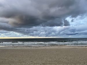 Read more about the article Alert pogodowy. Ostrzeżenie przed silnym wiatrem pierwszego stopnia