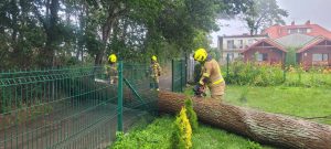 Read more about the article Niepogoda dopiero się rozkręca, a już są pierwsze szkody. Drzewo przewróciło się na dom