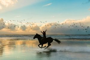 Read more about the article Od dziś dwie premiery w kinie „Wybrzeże”