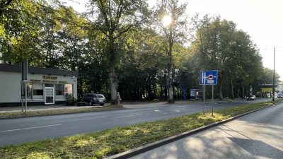 Miasto chce zlecić rewitalizację parku przy Koszalińskiej. Kiedyś istniał tam cmentarz