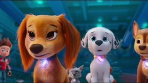 Read more about the article Zmiana repertuaru w kinie „Wybrzeże”. Na afisz wchodzi naprawdę straszny horror i rodzinna animacja o kosmopieskach