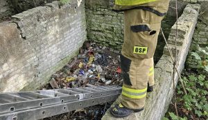 Read more about the article Szop utknął w dole po wyburzonym budynku. Z ratunkiem przyszli mu strażacy