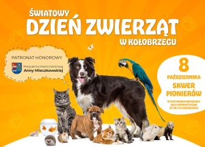 Read more about the article Światowy Dzień Zwierząt w Kołobrzegu jutro (8.10) na Skwerze Pionierów (PROGRAM)