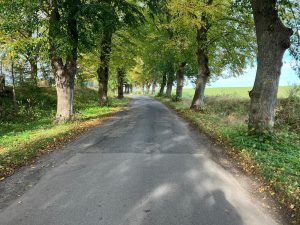 Read more about the article Remont drogi Ząbrowo – Ołużna – Charzyno. Roboty są warte blisko 2 mln zł