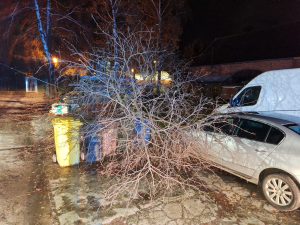 Read more about the article Niespokojna noc i kolejne interwencje strażaków. Wiatr powalił drzewo na samochód