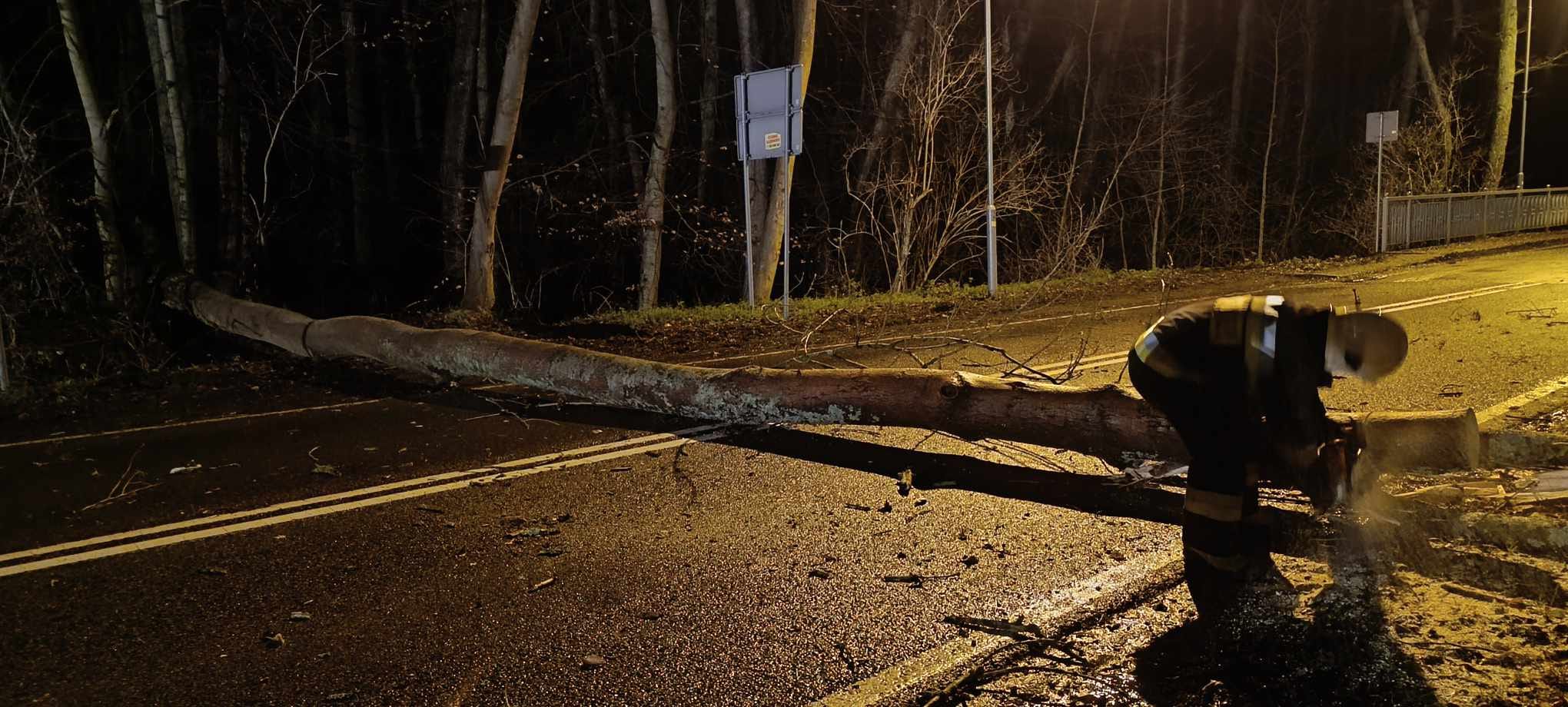 You are currently viewing Powalone drzewo zabarykadowało drogę do Podczela