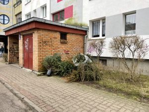 Read more about the article Trwa odbiór poświątecznych choinek. Sprawdzamy do kiedy można się ich pozbyć bez dodatkowych opłat