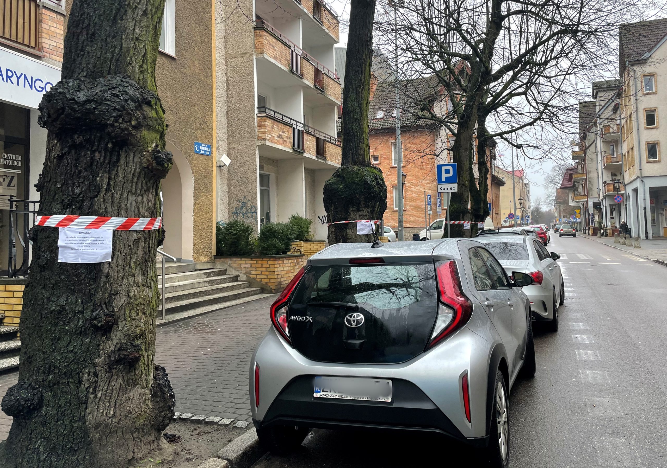 You are currently viewing Jutro nie parkuj tu auta. Zaplanowano prace w koronach drzew