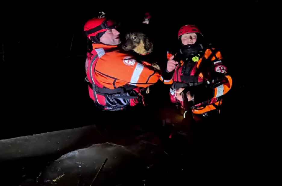 You are currently viewing W kraju głośno o ratownikach z Kołobrzegu – przejechali 700 km i uratowali psa