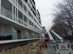 Read more about the article Ponacinane drzewa, mniejsze wycięte. Komu przeszkadzały?