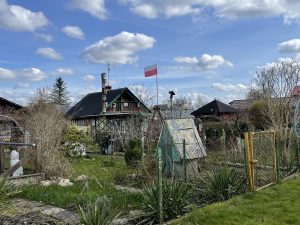 Read more about the article Kołobrzeskie ogródki działkowe zostają. Nowe prawo ich nie dotknie