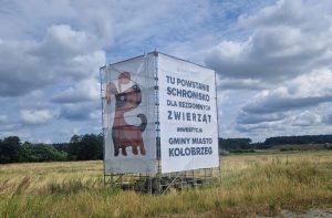 Read more about the article Tu powstanie schronisko dla zwierząt. Miasto podpisało umowę na PFU