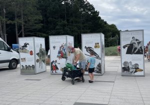 Read more about the article Plenerowa wystawa „Polskie sukcesy olimpijskie” na placu przy molo