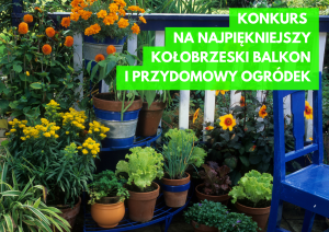 Read more about the article Konkurs na najładniej ukwiecony balkon i przydomowy ogródek w Kołobrzegu