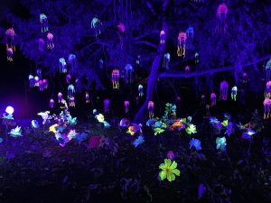 Read more about the article Widowiskowa Noc Kolorów w centrum Kołobrzegu (ZDJĘCIA, WIDEO)