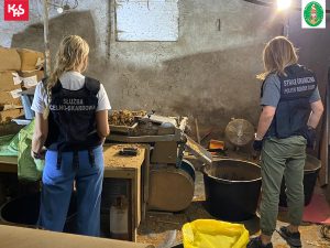 Read more about the article Strażnicy graniczni z Kołobrzegu zlikwidowali nielegalną krajalnię tytoniu