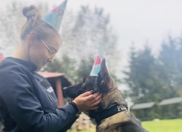 You are currently viewing Policyjny pies, który służy w Kołobrzegu, ma urodziny. Sto lat Serwal!