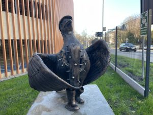 Read more about the article Przy parkingu stanął Marian z kaktusem na skrzydle. Wyjaśniamy jego historię