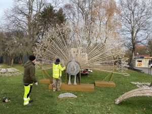 Read more about the article Trwa montaż dekoracji świątecznych. W centrum stawiany jest wielki paw