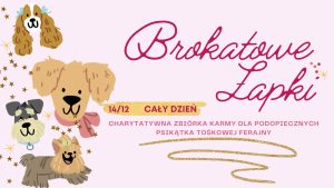 Read more about the article 14 grudnia czas na Brokatowe Łapki, czyli robimy coś dla siebie i przy okazji dla zwierzaków w potrzebie