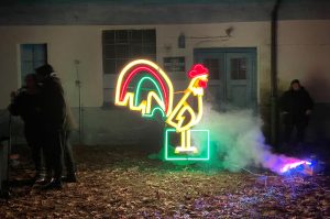 Read more about the article Kogut zabłysnął. Jeden z kołobrzeskich neonów odzyskał dawny blask (WIDEO)