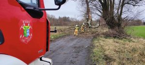 Read more about the article Bilans wietrznej nocy i poranka. Strażacy interweniowali 14 razy