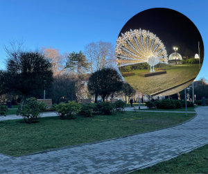 Read more about the article Podświetlanych pawi już nie ma. Kolejne świąteczne dekoracje znikają z miasta