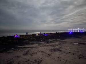 Read more about the article Fioletowe światło nad plażą w Kołobrzegu