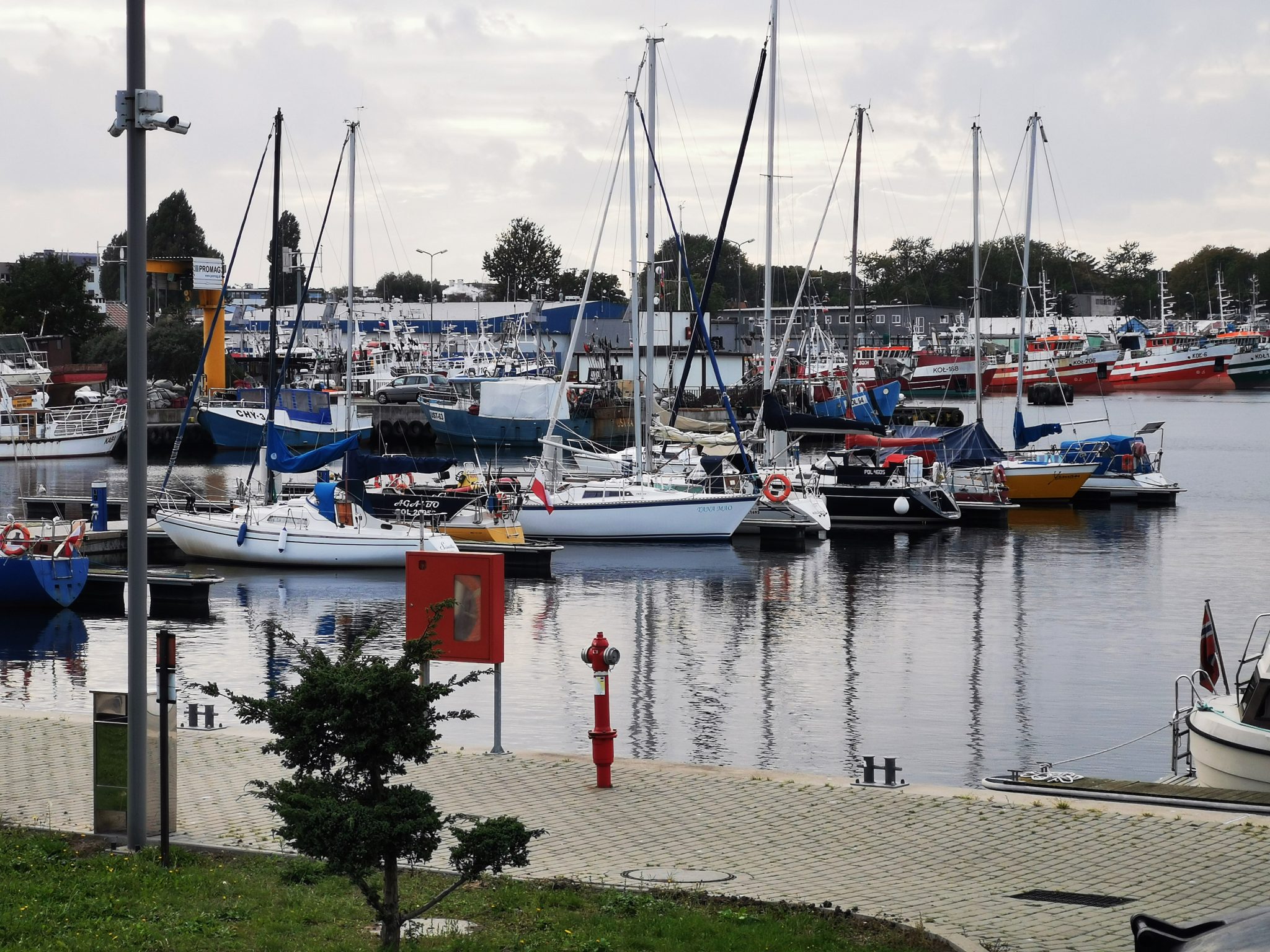 You are currently viewing Całoroczny zakaz wędkowania w porcie jachtowym poza wyznaczoną strefą