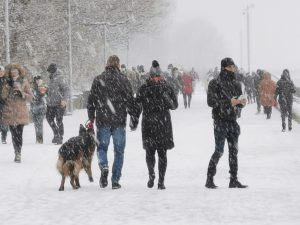 Read more about the article Ostrzeżenie przed intensywnymi opadami śniegu