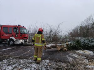 Read more about the article Pierwsze skutki wichury. Powalone drzewo blokowało drogę