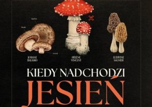 Read more about the article 12 lutego, pokaz filmu „Kiedy nadchodzi jesień”, RCK, bilety