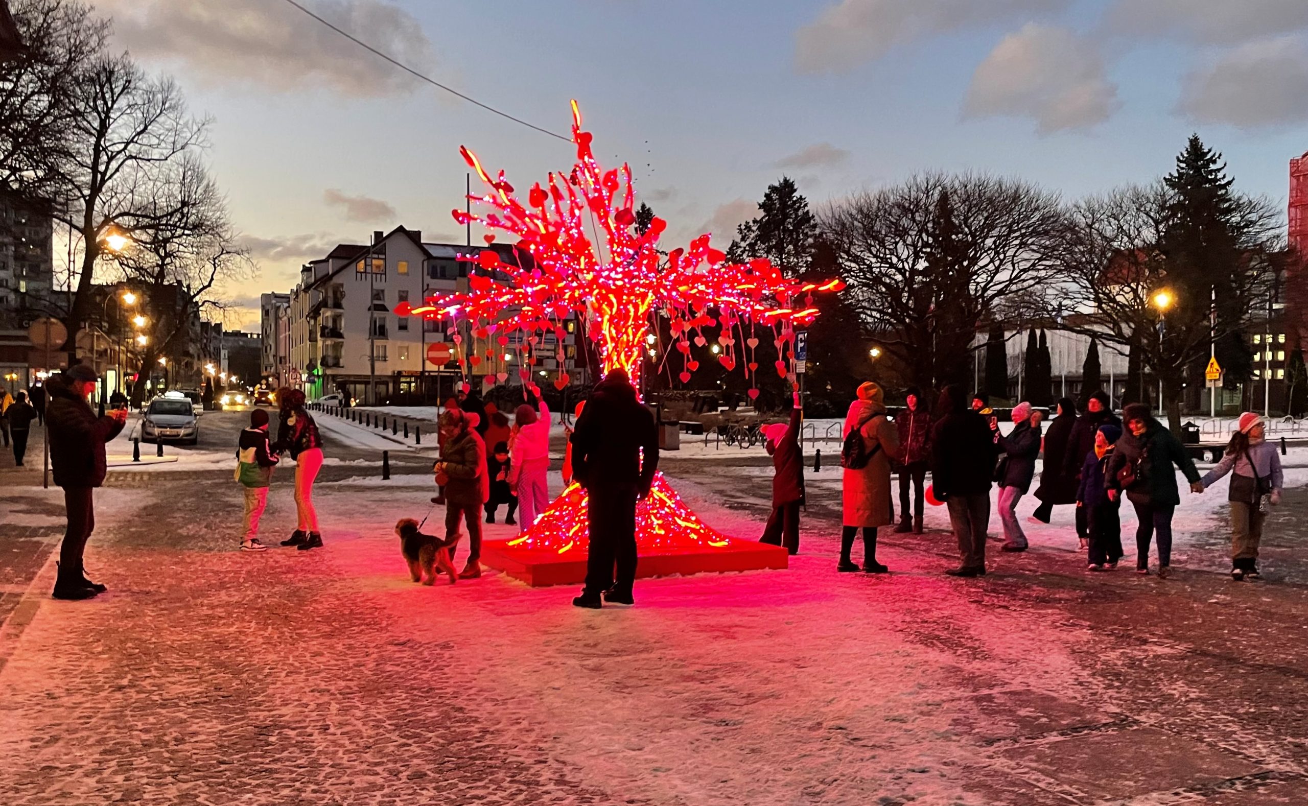 You are currently viewing Walentynki na placu Ratuszowym (WIDEO)