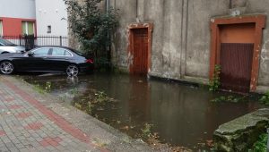 Read more about the article Przestanie w końcu zalewać kino Wybrzeże?