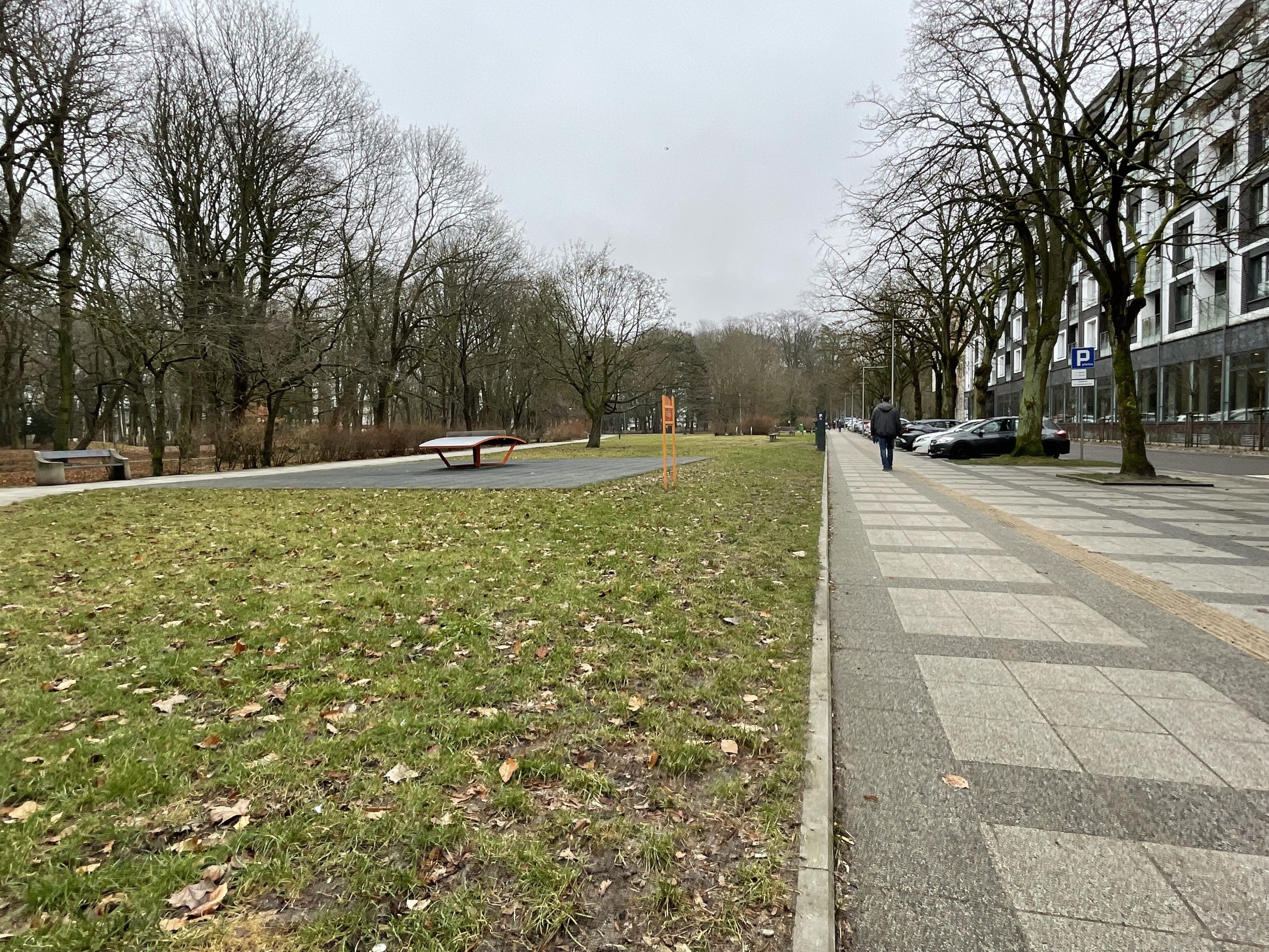 You are currently viewing Przetarg na plac zabaw przy Westerplatte unieważniony. Dlaczego miasto odrzuciło wszystkie cztery oferty?