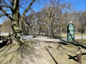 Read more about the article Bindaż Grabowy w Kołobrzegu został przebadany. Jakie są zalecenia eksperta?