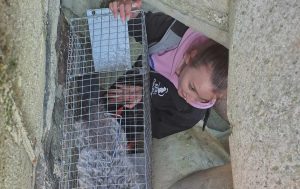 Read more about the article Pies, który utknął na falochronie, uratowany. Jego historia jest tragiczna