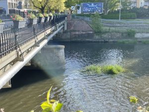Read more about the article Rośnie nam nowa łacha na Parsęcie? Zaczyna się tak samo jak ostatnio…