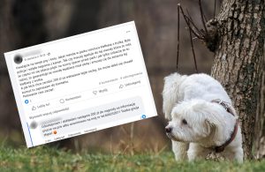 Read more about the article Kto chce zaszkodzić zwierzętom? Mieszkańcy Podczela wyznaczyli nagrodę i ostrzegają