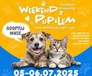 Read more about the article Schronisko dla zwierząt zaprasza do wspólnego świętowania Światowego Dnia Psa