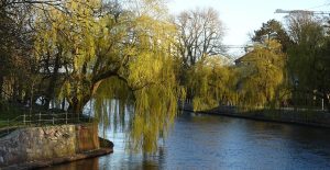 Read more about the article Miasto wybrało wykonawcę przebudowy brzegów Parsęty