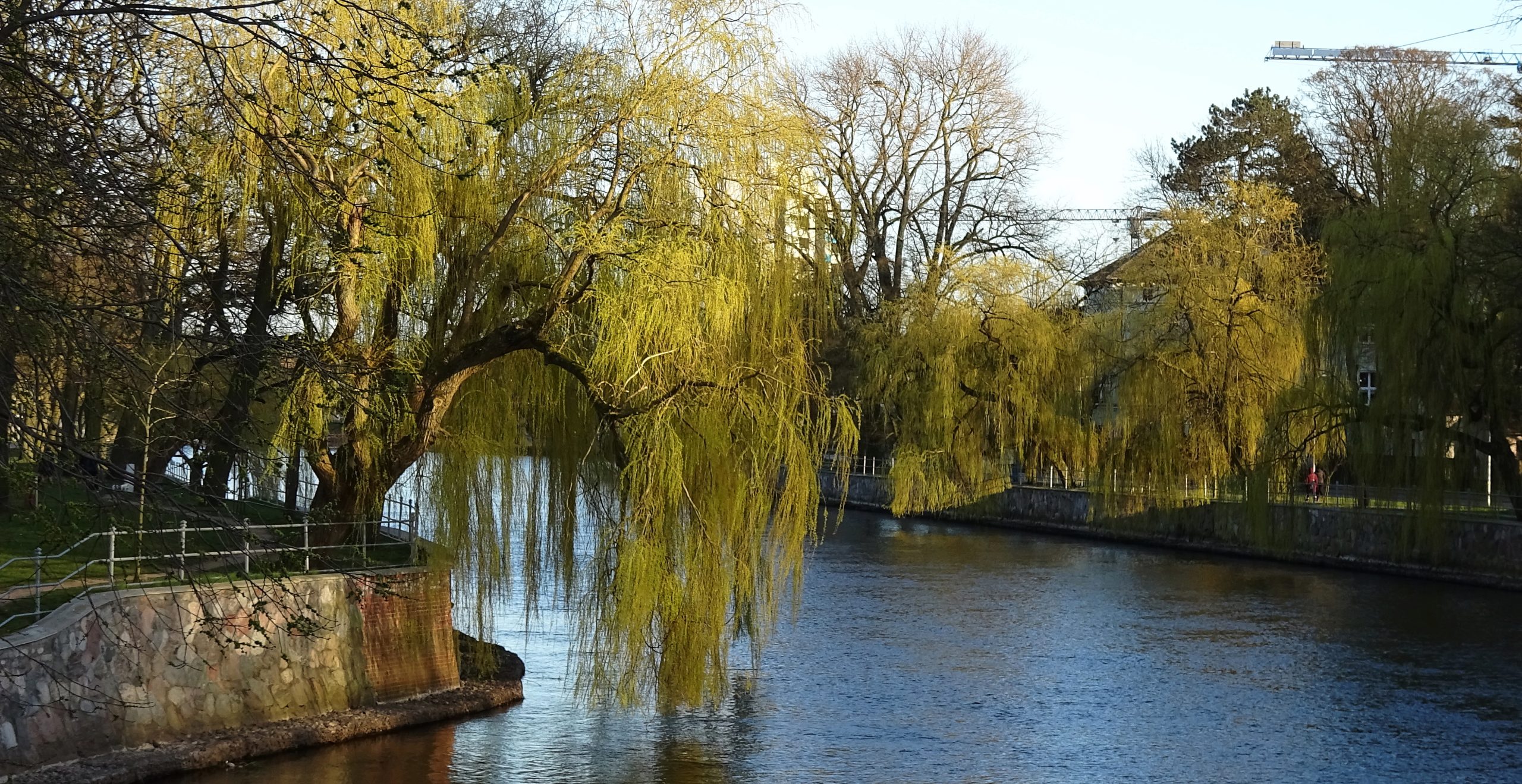 You are currently viewing Miasto wybrało wykonawcę przebudowy brzegów Parsęty