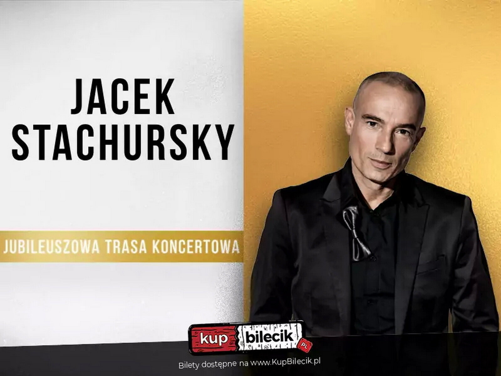 You are currently viewing 28 lipca, Jacek Stachursky – koncert w amfiteatrze