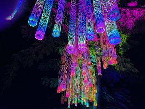Światło, dźwięk i emocje – Noc Kolorów w Parku im. Stefana Żeromskiego (PROGRAM)