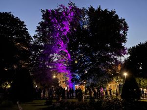 Read more about the article Noc Kolorów ściągnęła do centrum tłumy. Dobra zabawa wśród świateł i dźwięków