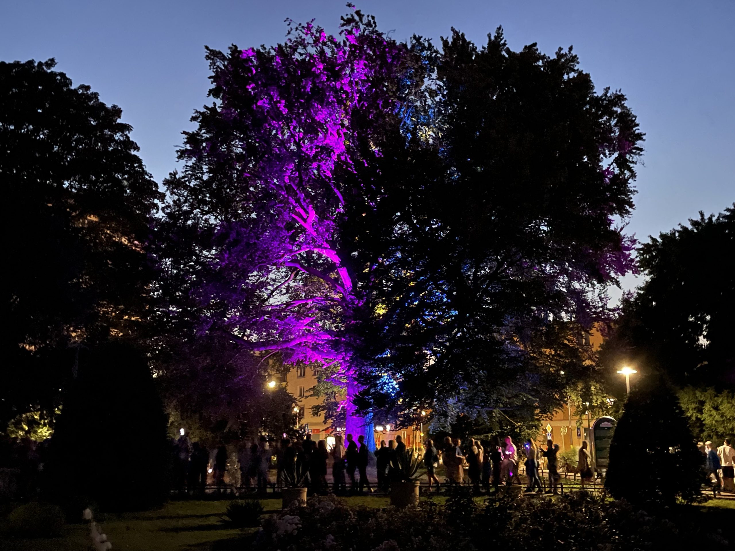 You are currently viewing Noc Kolorów ściągnęła do centrum tłumy. Dobra zabawa wśród świateł i dźwięków