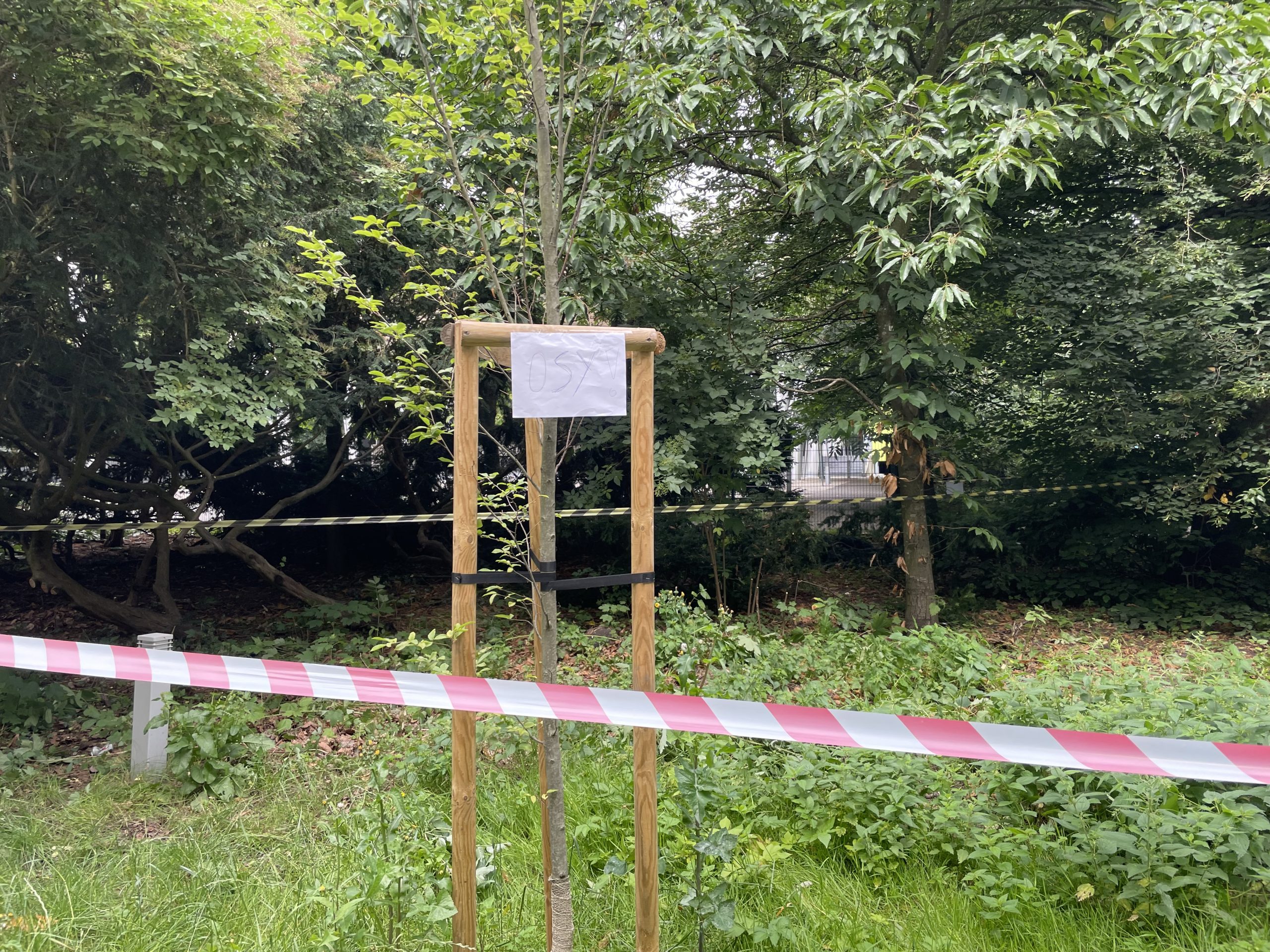 You are currently viewing Straż Pożarna interweniowała dziś w Parku Teatralnym