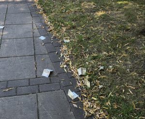 Read more about the article Pieniądze leżały porozrzucane przy drodze. Kobieta pozbierała je i oddała policji