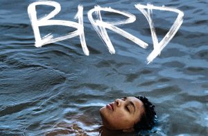 Read more about the article 10 września, DKF Sztorm – film „Bird”